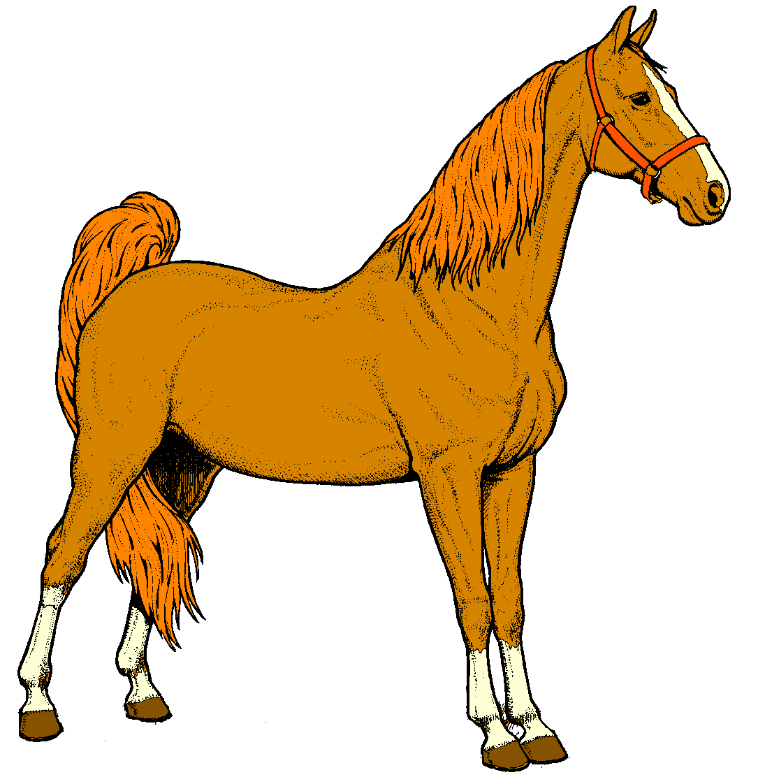 horse eating clipart - photo #12